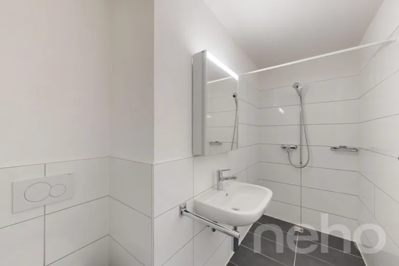 Apartment for sale in Zwingen - Apartment for sale in Zwingen, 4.5 rooms, 108 m2 - Smart Propylaia (9)