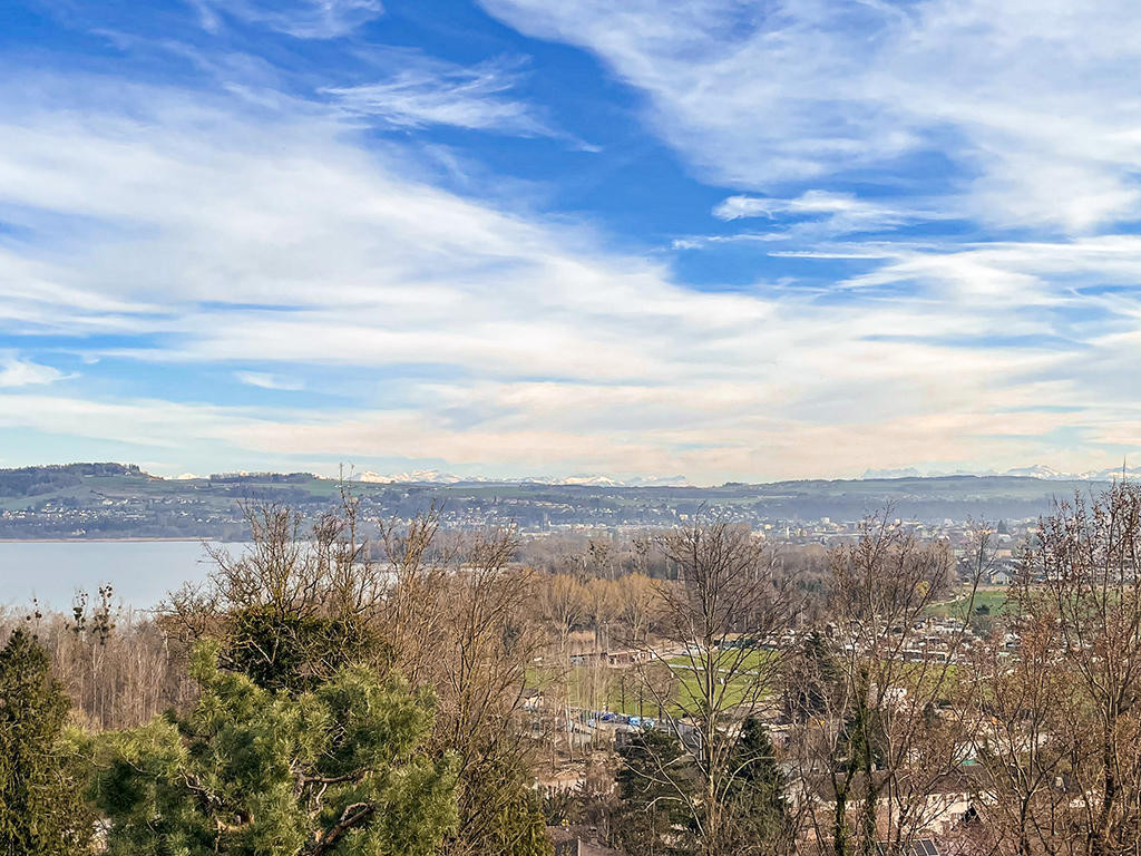 A vendre   Suisse - cChic-immoHub votre portail immobilier