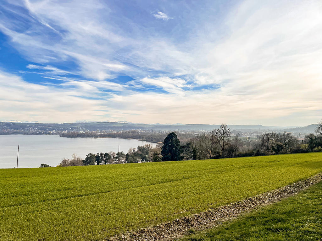 A vendre   Suisse - cChic-immoHub votre portail immobilier