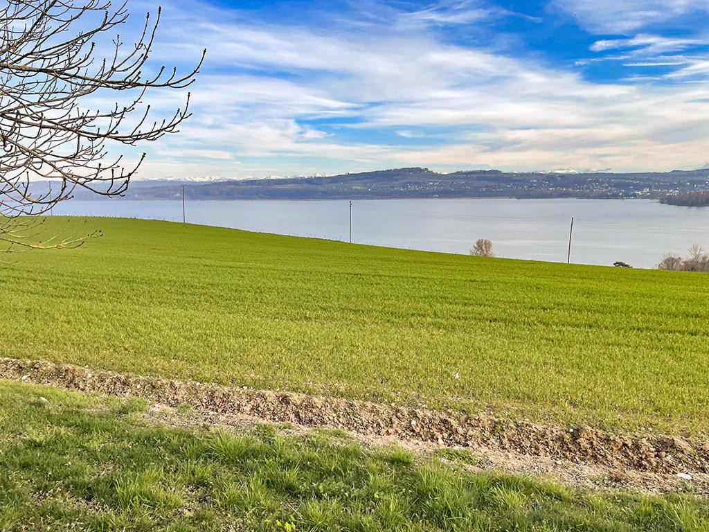 A vendre   Suisse - cChic-immoHub votre portail immobilier