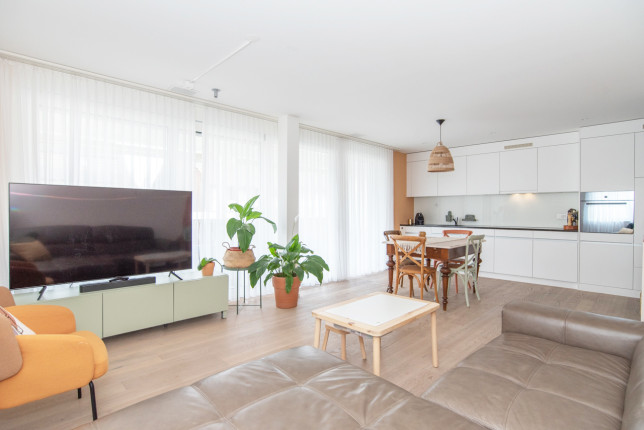 Appartamento in vendita a Schneisingen (3)