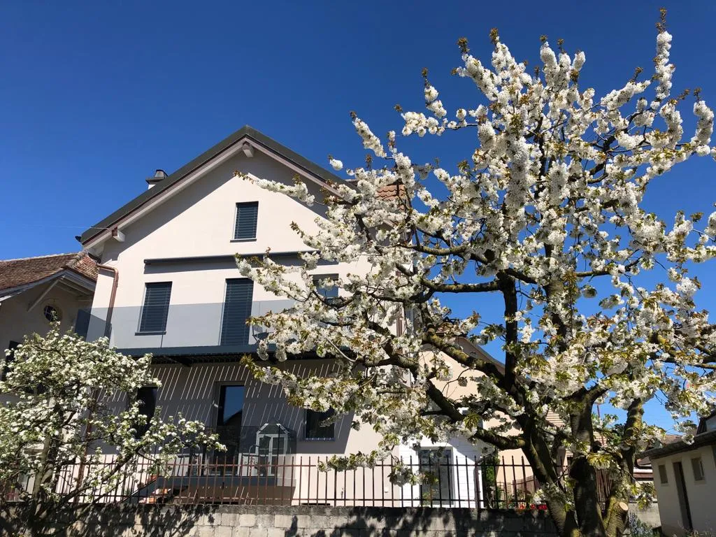 Mathod à vendre Maison individuelle Suisse - cChic-immoHub votre portail immobilier