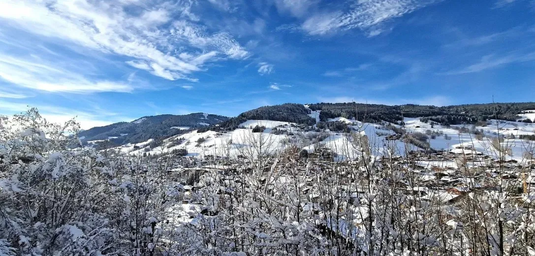 Haus zu verkaufen in Megève - Smart Propylaia (14)