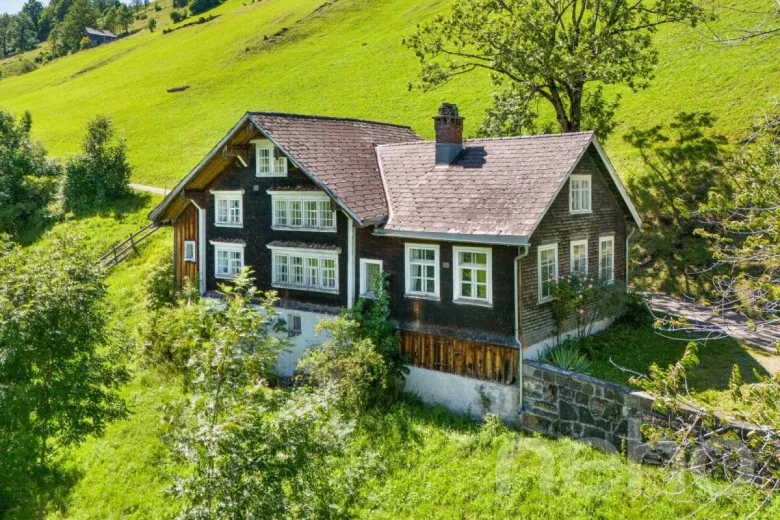 For sale Alt St. Johann Single house Switzerland - cChic-immoHub your real estate portal