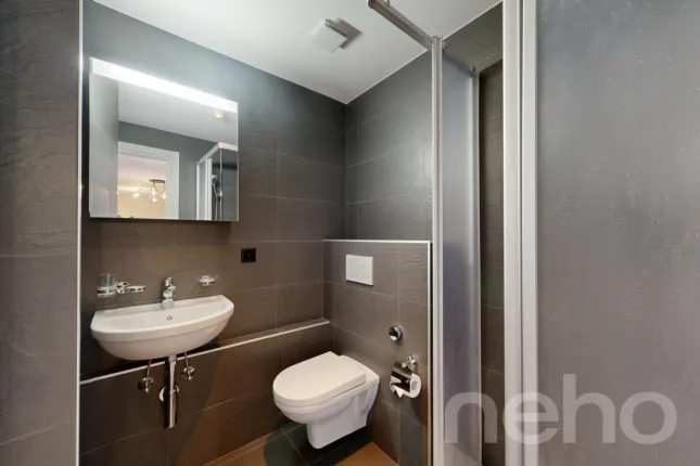 Appartement à vendre à Corin-de-la-Crête (10)