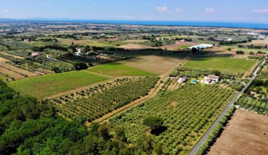 Landwirtschaft zu verkaufen in Cecina - Smart Propylaia (2)