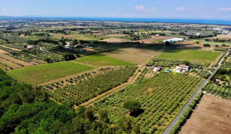 Agriculture for sale in Cecina (2)