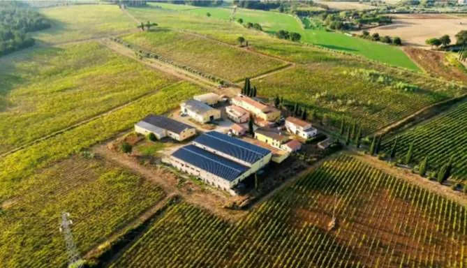 Agriculture à vendre à Cecina - Ferme à vendre à Cecina, 100 pièces, 10000 m2 - Smart Propylaia (3)