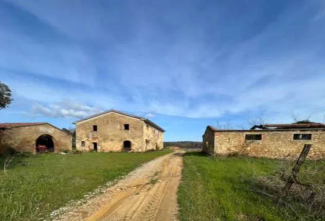 Agriculture for sale in Cecina (5)