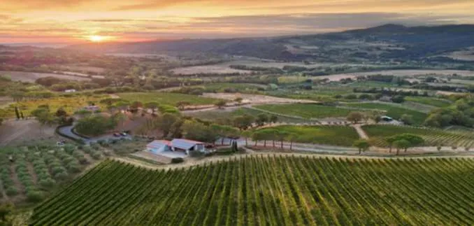 Agriculture à vendre à Cecina - Ferme à vendre à Cecina, 100 pièces, 10000 m2 - Smart Propylaia (6)