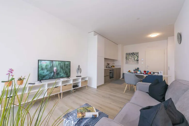 Zu verkaufen Lugano Wohnung Schweiz - cChic-immoHub Ihr Immobilienportal
