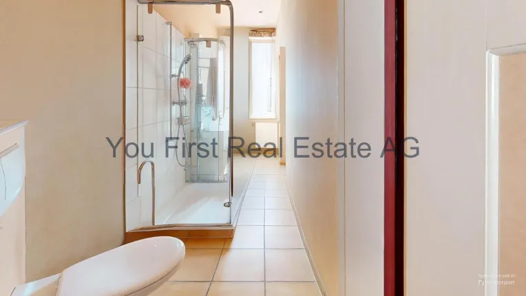 House for sale in Basel (4)