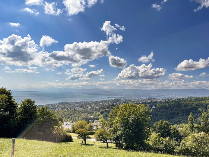 In vendita Belmont-sur-Lausanne Villa Svizzera - cChic-immoHub Il vostro portale immobiliare