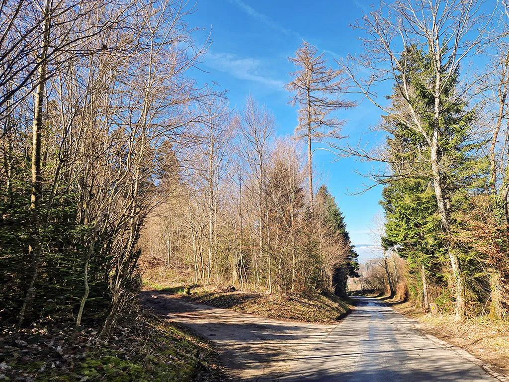 Belmont-sur-Lausanne In vendita Villa Svizzera - 
cChic-immoHub Il vostro portale immobiliare