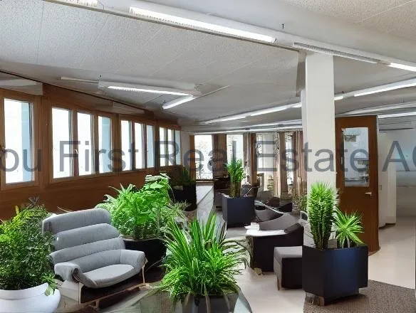 To rent   Switzerland - cChic-immoHub your real estate portal