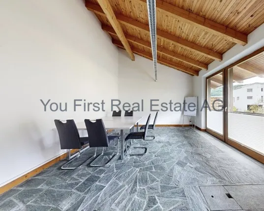 Commercial & industry for sale in Arisdorf (5)