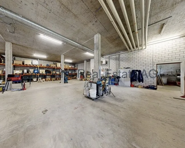 Commercial & industry for sale in Arisdorf - Smart Propylaia (8)