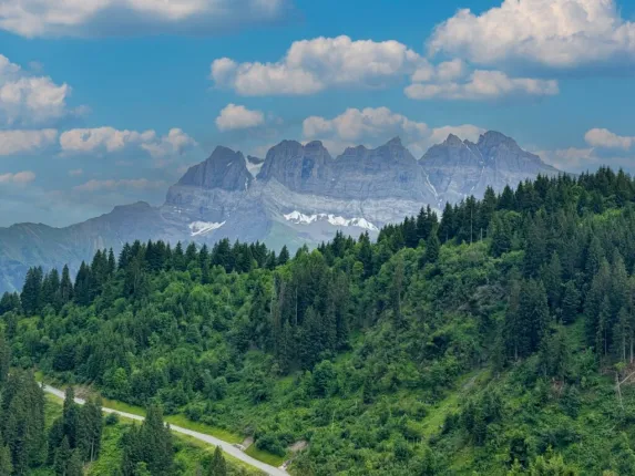 Appartamento in vendita a Val-d'Illiez (6)