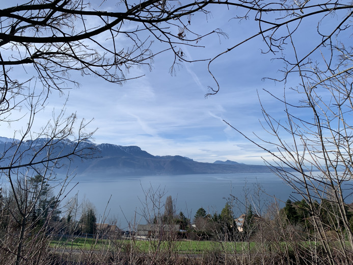 House for sale in Vevey - Smart Propylaia