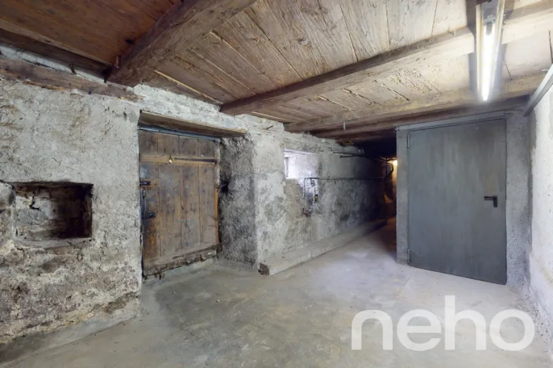 Haus zu verkaufen in Ottenbach - Smart Propylaia (10)