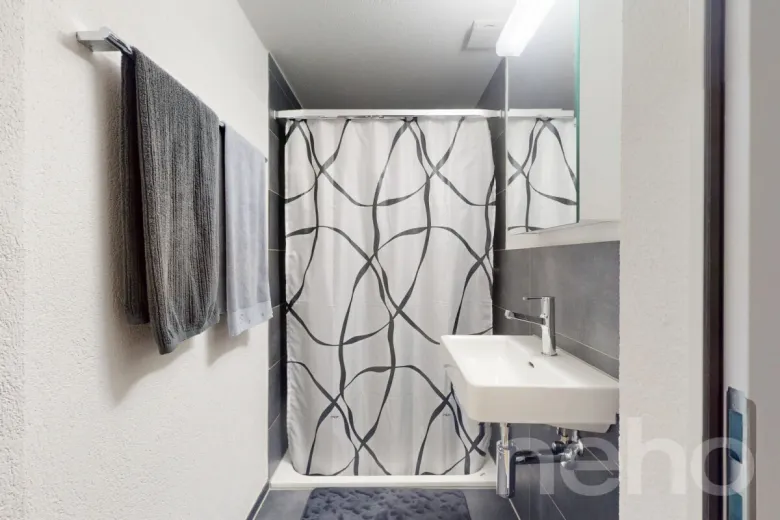 Haus zu verkaufen in Erlinsbach SO - Smart Propylaia (10)