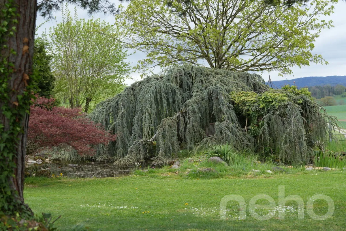 Windlach à vendre Maison individuelle Suisse - cChic-immoHub votre portail immobilier