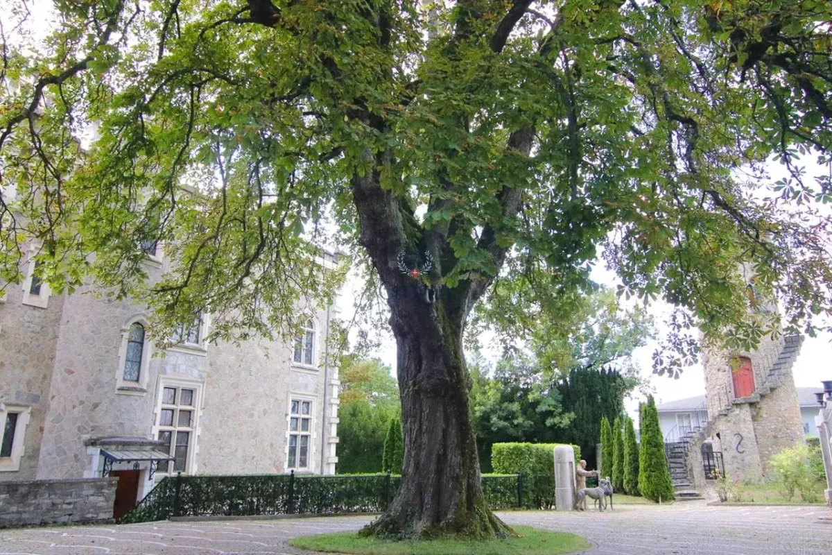 Cologny à vendre Château Suisse - cChic-immoHub votre portail immobilier