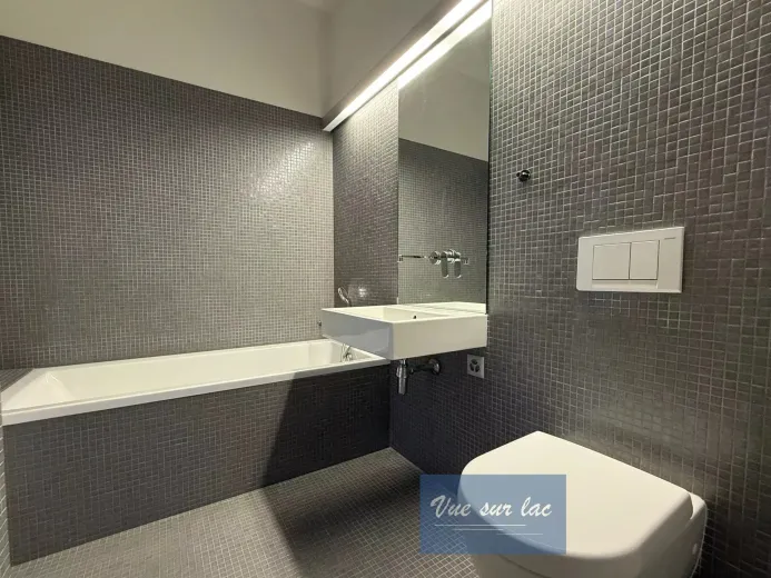 Apartment for rent in Grandvaux - Spacious apartment in architect-designed villa, breathtaking view! - Smart Propylaia (21)