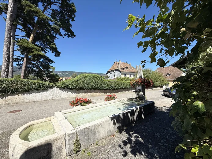 In vendita Trélex Villa Svizzera - collaborazione con il portale immobiliare Smart-Propylaia