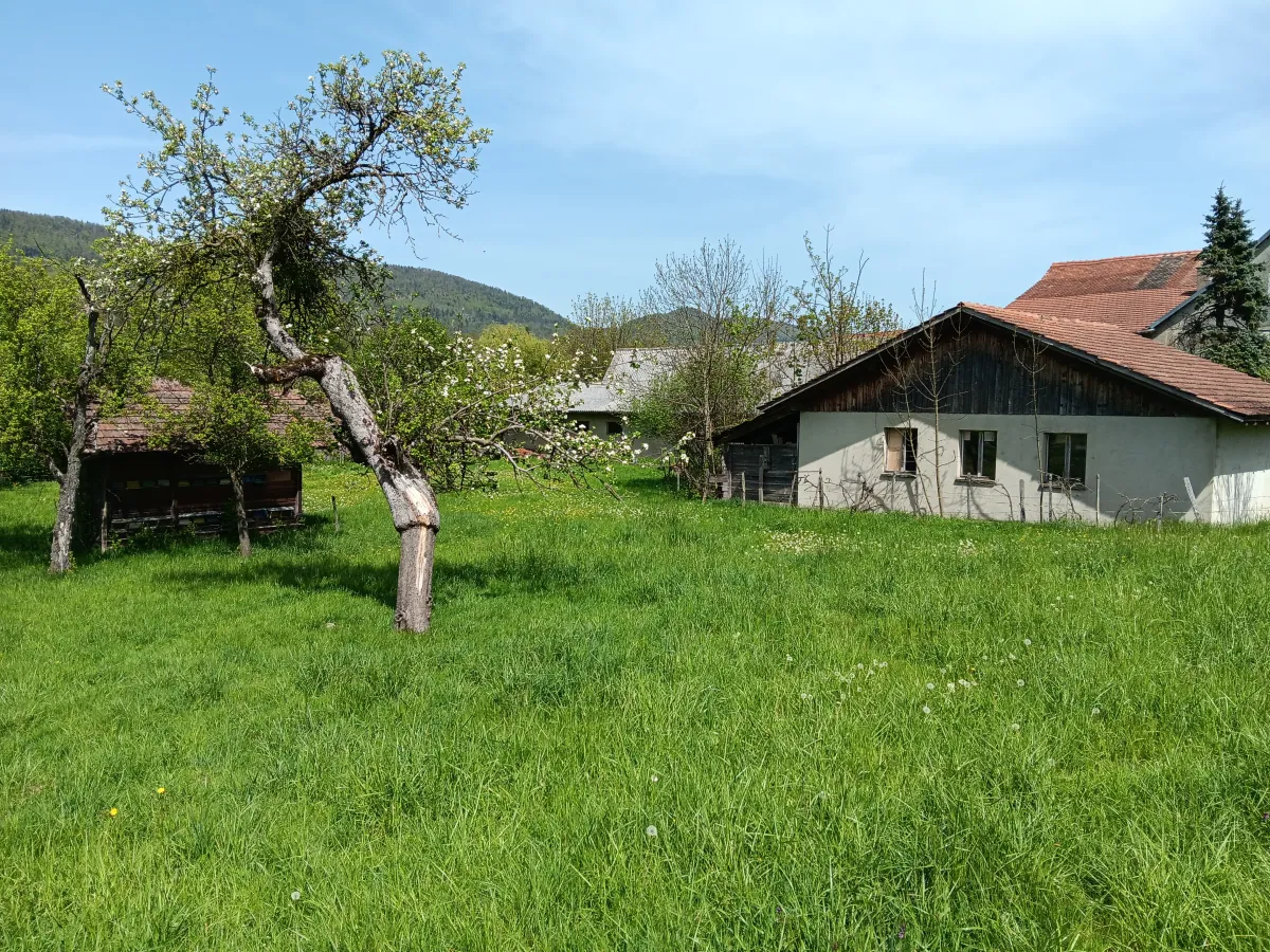 Courchapoix à vendre Ferme Suisse - cChic-immoHub votre portail immobilier