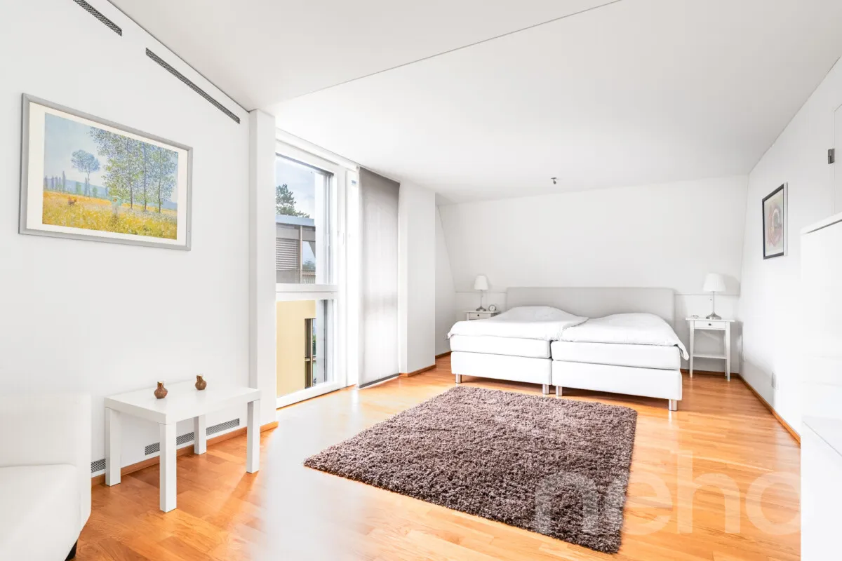 Arlesheim zu verkaufen Attikawohnung Schweiz - cChic-immoHub Ihr Immobilienportal