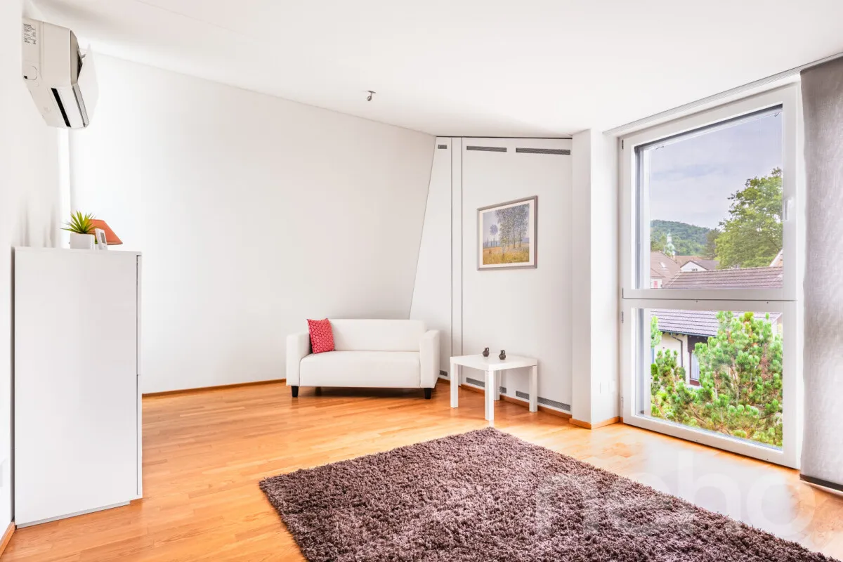 Arlesheim zu verkaufen Attikawohnung Schweiz - cChic-immoHub Ihr Immobilienportal