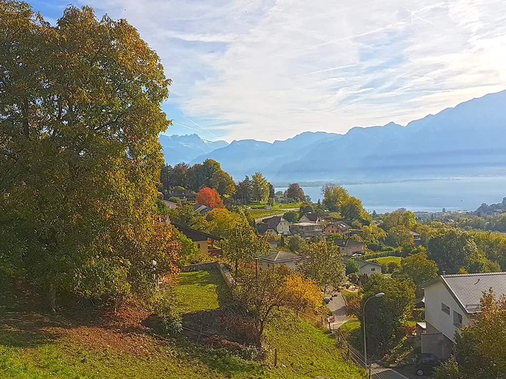 Blonay zu verkaufen Einfamilienhaus Schweiz - cChic-immoHub Ihr Immobilienportal
