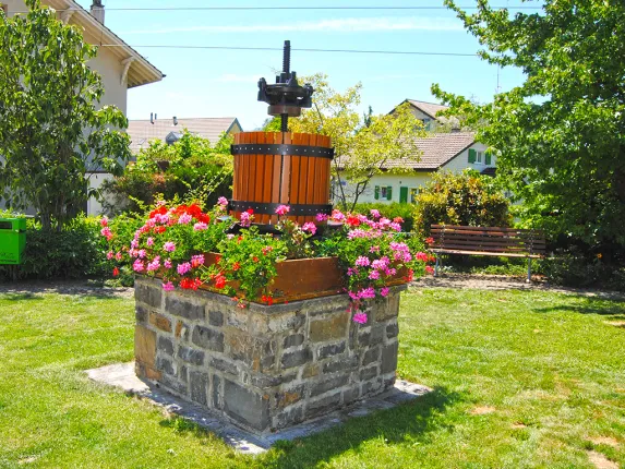 Casa in vendita a Blonay (3)