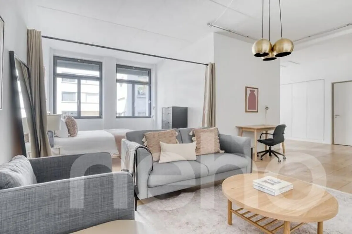 Zürich for sale Loft Switzerland - cChic-immoHub your real estate portal
