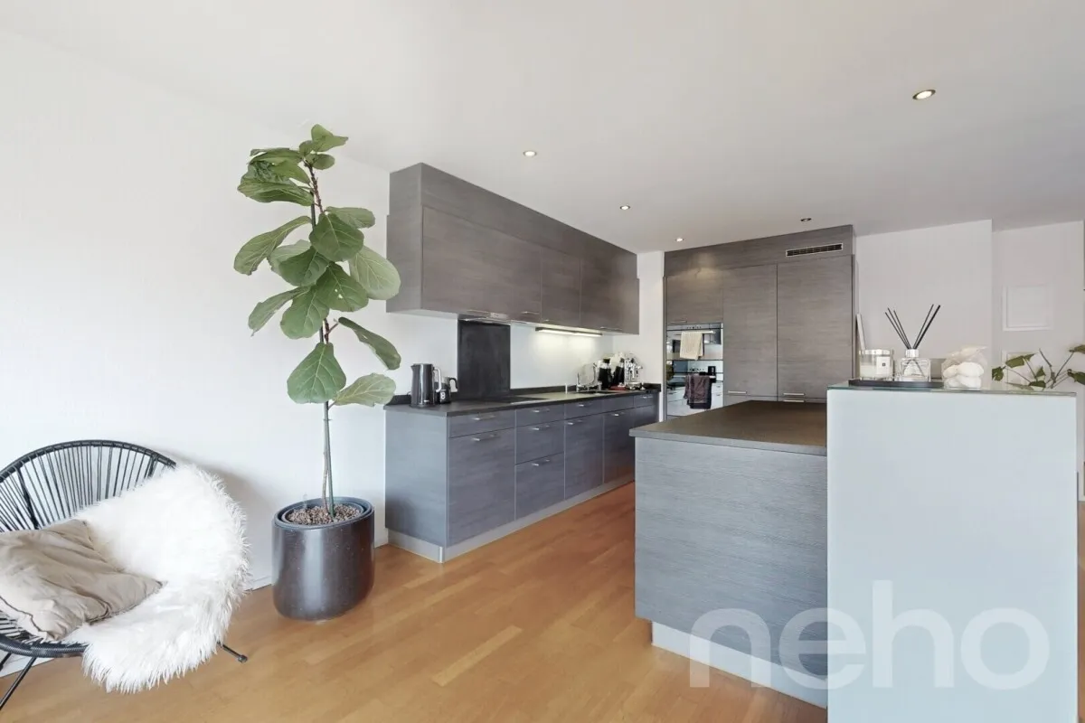 Zürich zu verkaufen Attikawohnung Schweiz - cChic-immoHub Ihr Immobilienportal