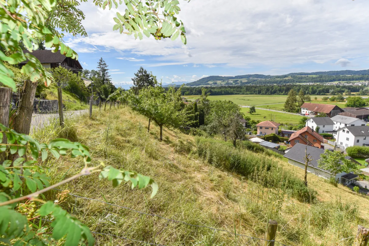 Egliswil zu verkaufen Bauland Schweiz - cChic-immoHub Ihr Immobilienportal