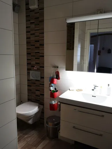 Casa plurifamiliare in vendita a Bassecourt - Casa plurifamiliare in vendita a Bassecourt, 7 locali, 353 m2 - Smart Propylaia (6)
