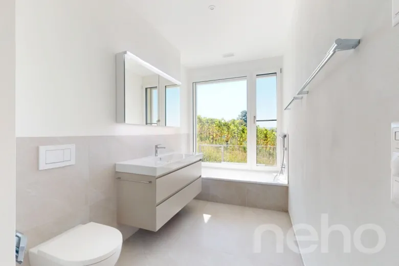 Maison à vendre à Seengen - Smart Propylaia (8)