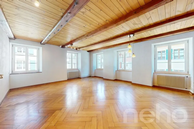 Maison à vendre à Waldenburg - Smart Propylaia (2)