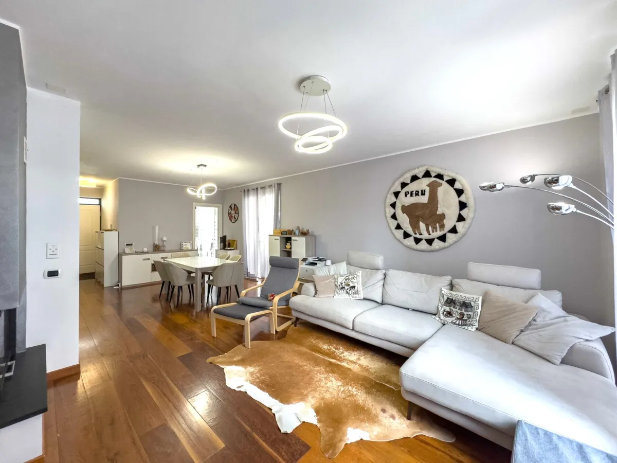 Melano for sale Twin house Switzerland - cChic-immoHub your real estate portal