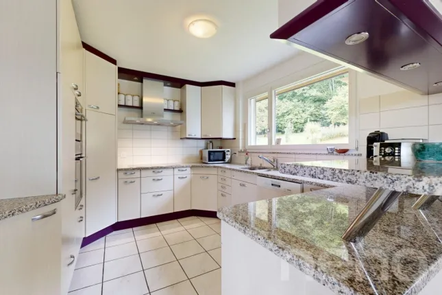 Maison à vendre à Däniken SO (8)