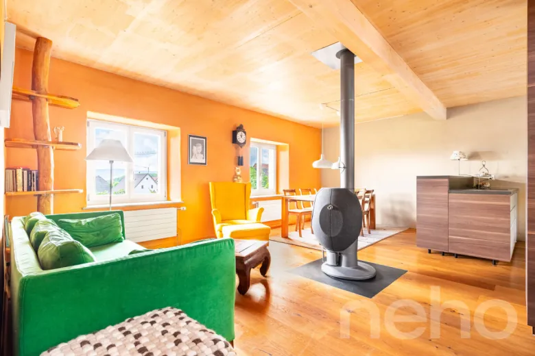Maison à vendre à Blauen - Smart Propylaia (4)