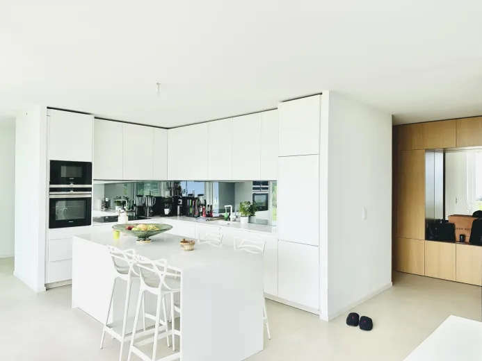 Casa in affitto a Blonay - Smart Propylaia (4)