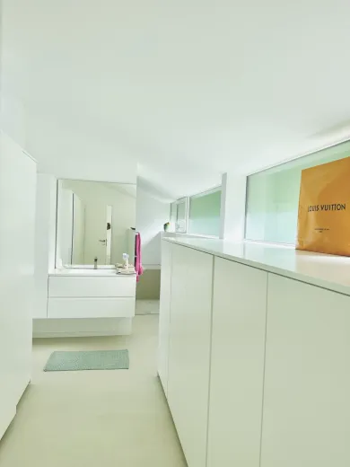 Casa in affitto a Blonay - Smart Propylaia (10)