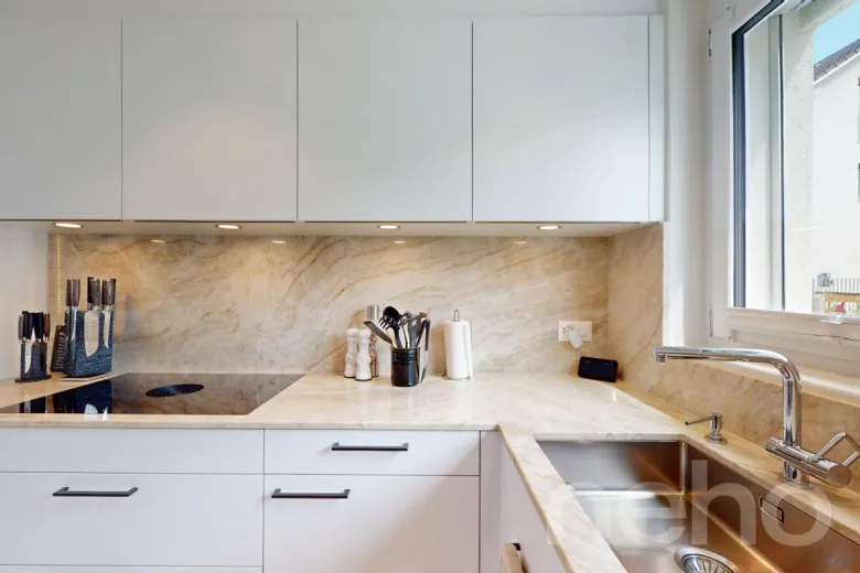 Maison à vendre à Gächlingen - Smart Propylaia (4)
