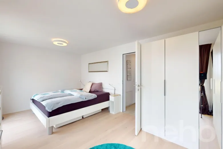 Maison à vendre à Gächlingen - Smart Propylaia (7)