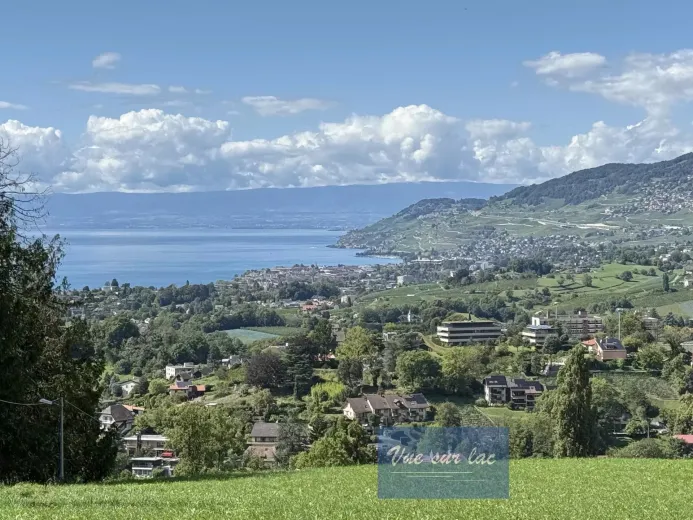 Zu verkaufen Chernex Villa Schweiz - cChic-immoHub Ihr Immobilienportal