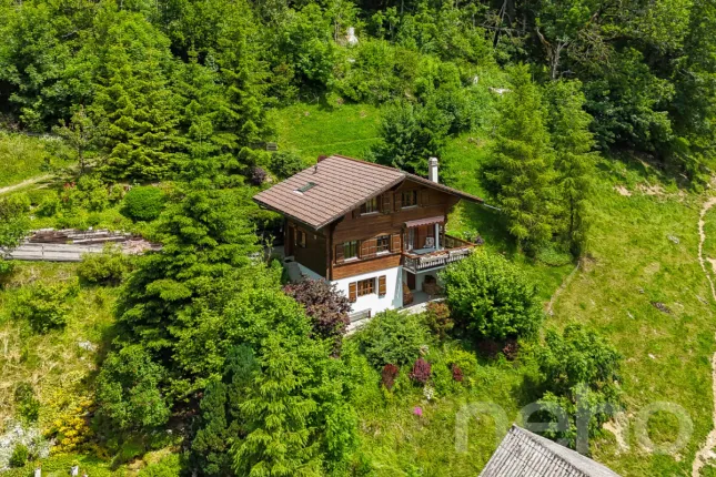 House for sale in Jaun (12)