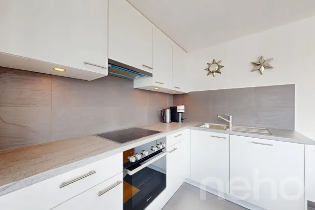 Appartement à vendre à Corin-de-la-Crête (5)